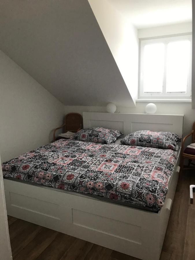 Apartment Rodinne Krauskopfovi *